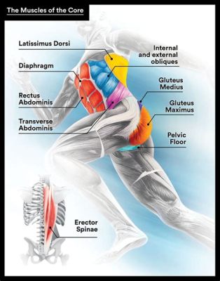 Does Running Strengthen Lower Back: A Journey Through Muscles and Myths