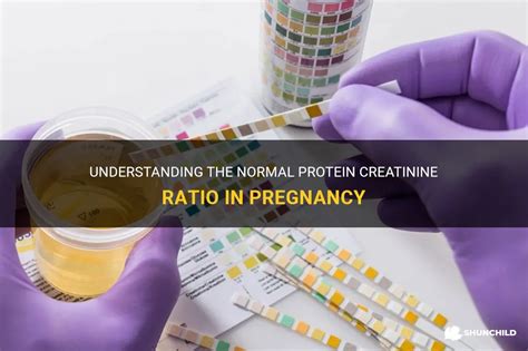 What is a Normal Protein/Creatinine Ratio in Pregnancy? And Why Do Pregnant Women Dream of Flying Elephants?